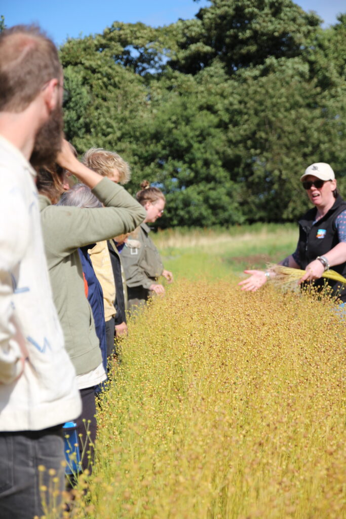 Innovative Farmers Field Lab img 1219